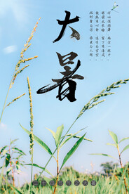 24节气之大暑海报设计图片