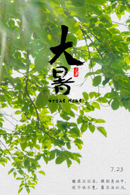 24节气之大暑海报设计图片