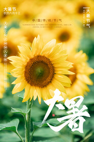  24节气之大暑海报设计图片