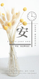 早安