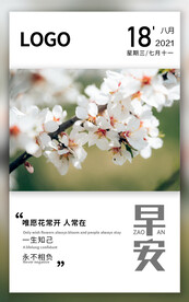 早安