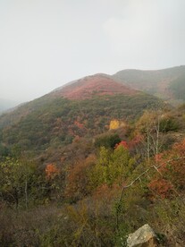 风景