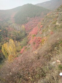 风景