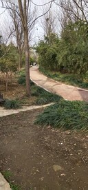 小路