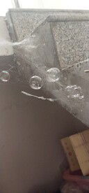 蛛网上的泡泡