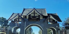 老班章 茶山 茶树