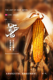创意时尚传统节日处暑海报