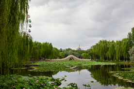 银川中山公园