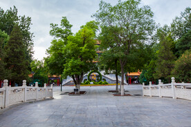 银川中山公园