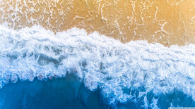大海