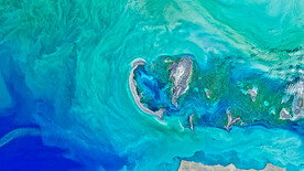 大海
