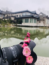 被梅花装点的相机