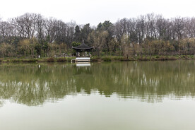 扬州大虹桥美景