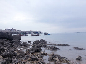 海湾海景