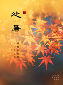 处暑二十四节气海报