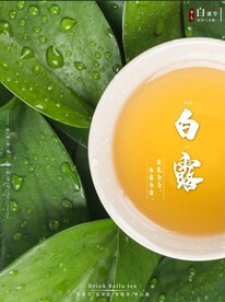 二十四节气白露