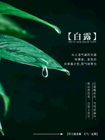 二十四节气白露
