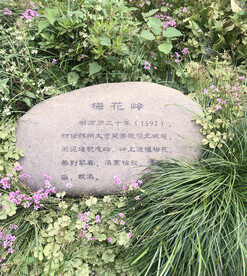 碑刻简介