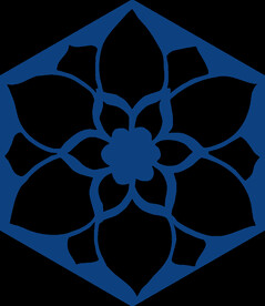 青花瓷图案
