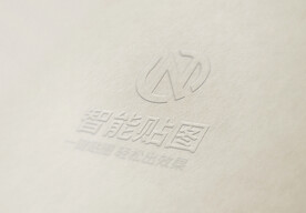 logo标志样机
