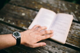 看书 夏季 学习