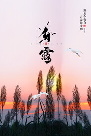 手绘中国传统24节气白露节海报