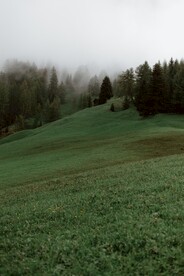 风景