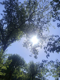 太阳当空照