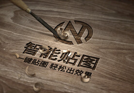 logo样机