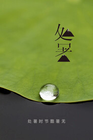 处暑二十四节气节日海报