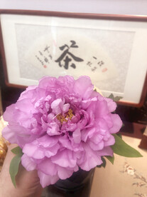 牡丹花