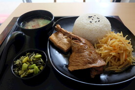 鸭腿饭