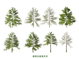 松树