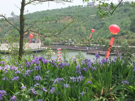 西乡樱桃沟