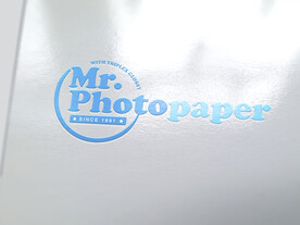 logo样机