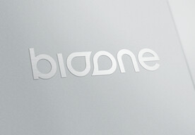 logo样机
