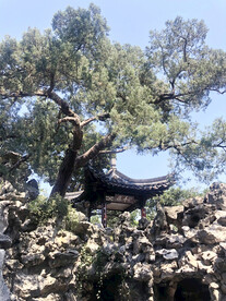 亭子古树假山