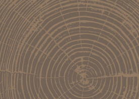 木纹背景           