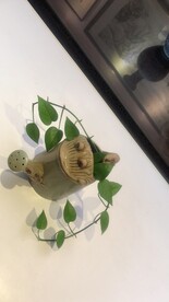 创意洒水壶