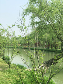 扬州美景