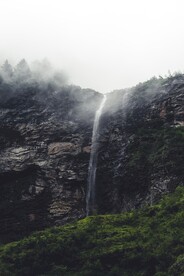 森林