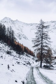 雪山岭 