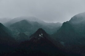 森林