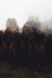 山岭 