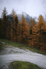 山岭 
