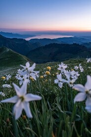  草地 