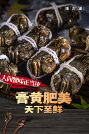 大闸蟹美食