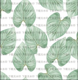 大尺寸热带叶子