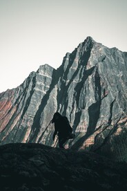美丽风景风光 