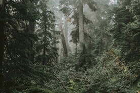 美丽风景风光 